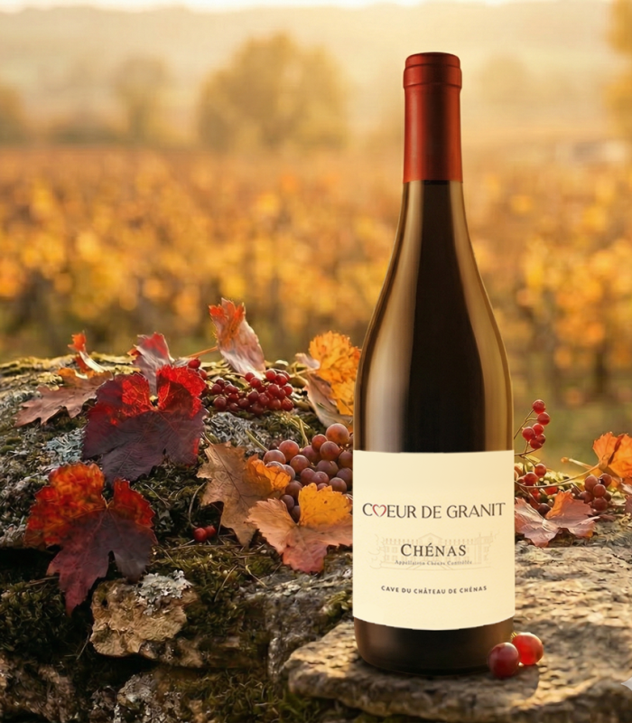 Chénas "Coeur de Granit" 2024 Prix Bacchus