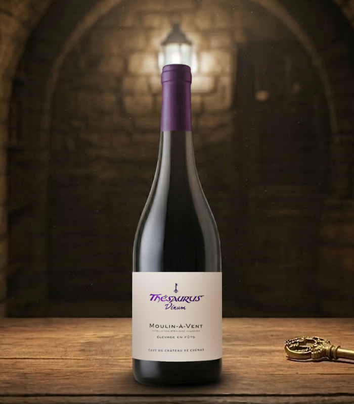 Moulin à Vent "Thésaurus Vinum" 2023 élevage en fût