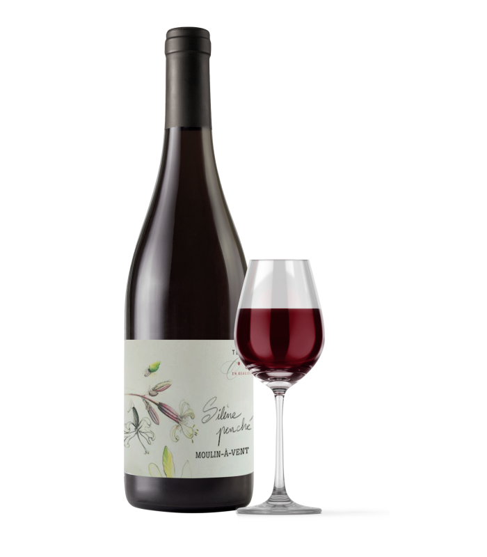 Moulin à Vent "Silène Penché" 2020