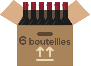 icon-cartondesixbouteillesdevin-300px.png